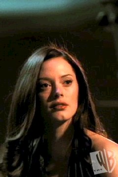 244.jpg